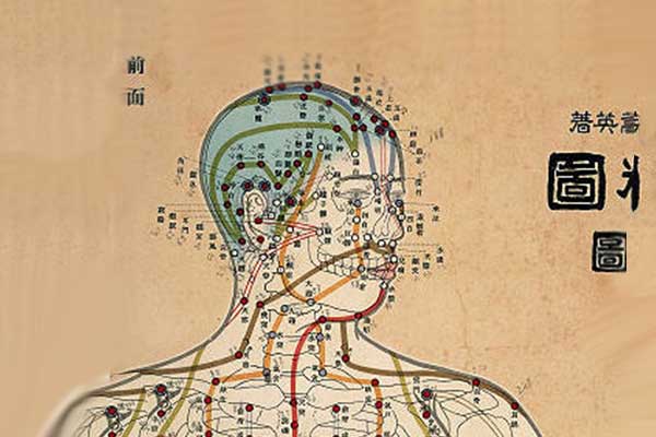 acupuncture-points-health-wellness-clinic